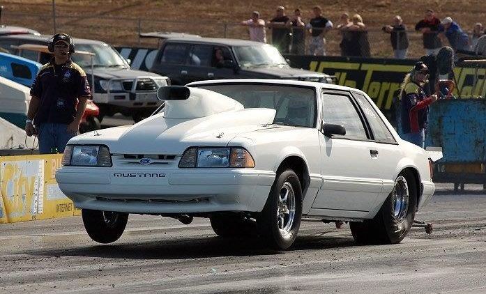 White Mustang
